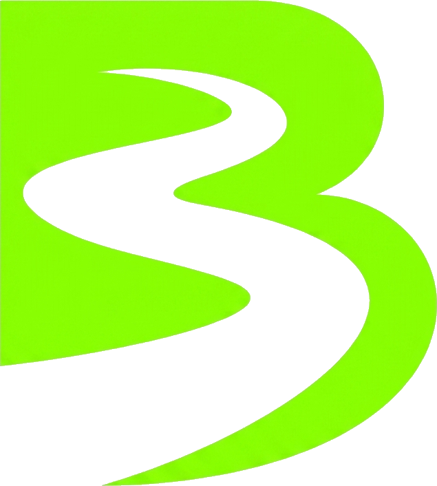 Budgement logo